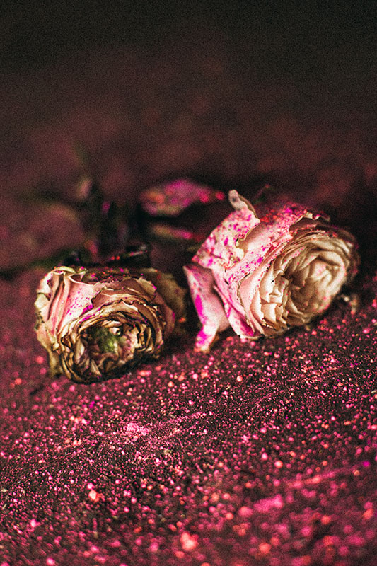 Anna Yamada/Raika Yumi